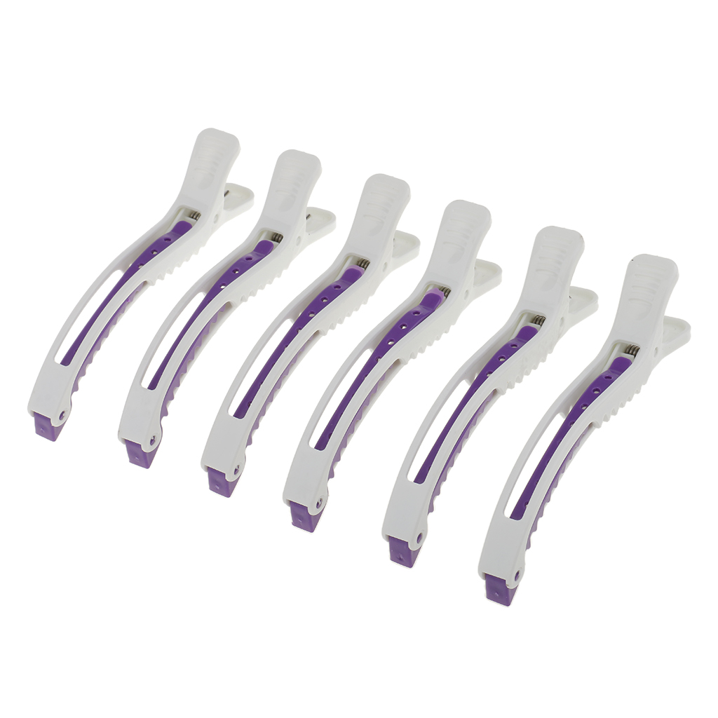 6PCS Pro Hairdressing Salon Se - مراجعة Crocodile Clip Set وسعره